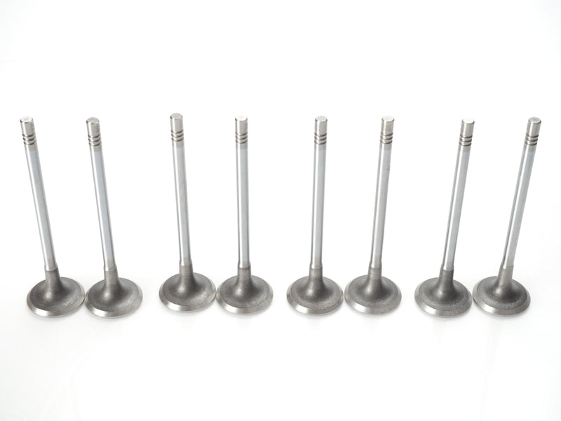 2017-2019 Jaguar Engine Intake Valve (8PCS) - AJ200D 204DTD 2.0L L4 Ingenium Diesel – (AJ813299)